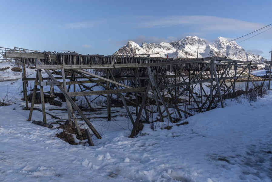 Noruega - islas Lofoten 073 - Henningsvaer - secadero de pescado.jpg